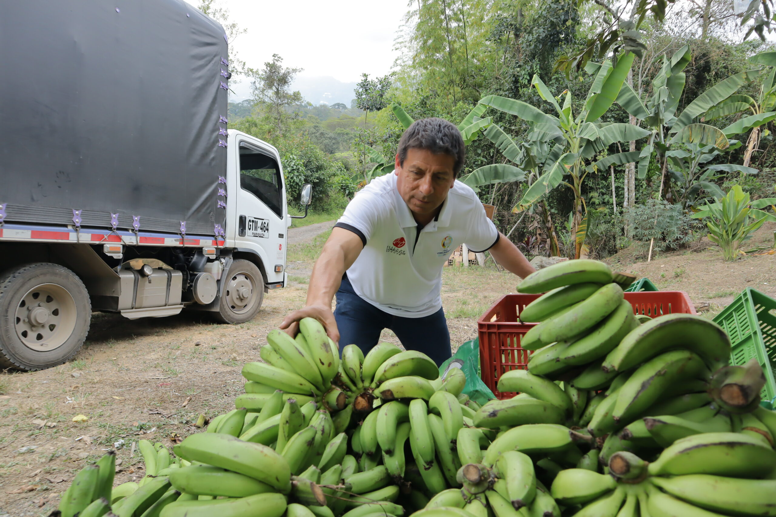 Voluntarios del Banco de Alimentos de Bogotá preparando mercados
